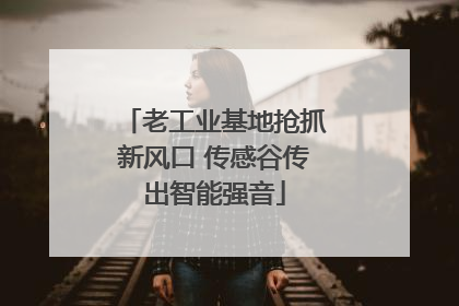 老工业基地抢抓新风口 传感谷传出智能强音